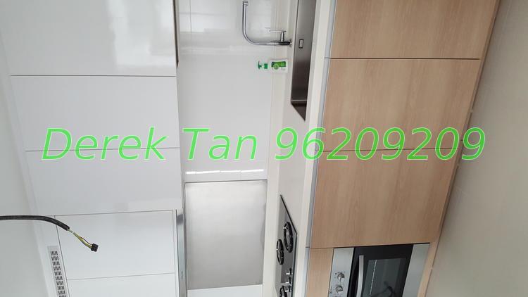Boathouse Residences (D19), Condominium #143733372